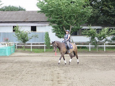 馬と一緒に楽しい乗馬