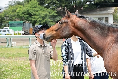 愛情乗馬