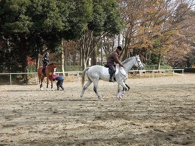 乗馬は共同作業