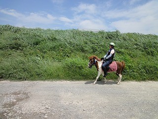 乗馬の楽しみ外乗を体験
