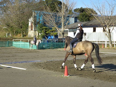 馬術をきちんと練習できる