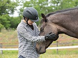 馬とのコミュニケーション