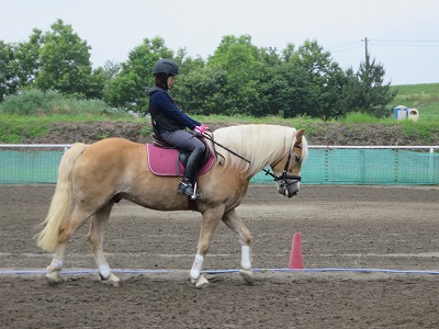 もっともっと人馬一体