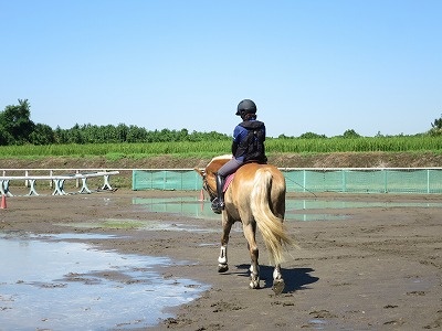 馬とコミュニケーション