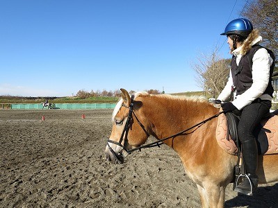 今日の体験乗馬