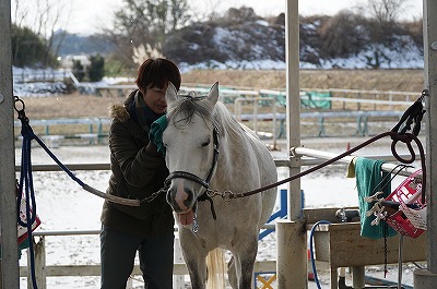 馬と楽しいコミュニケーション