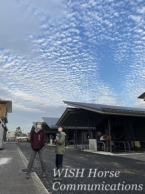全日本馬場馬術大会