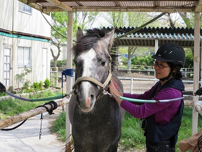 馬と仲良くなる練習