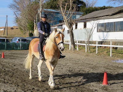 馬との対話