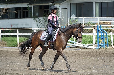 幸せな馬に乗ろう
