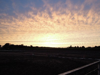 乗馬クラブから見たきれいな夕焼け