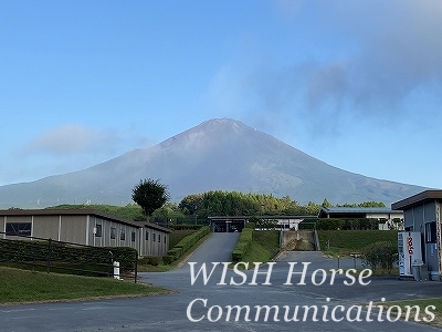 富士山　御殿場から