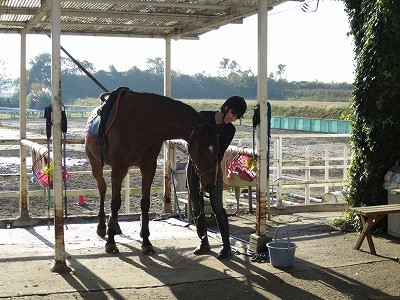 素晴らしい乗馬体験を