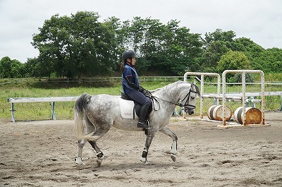 馬術の本運動