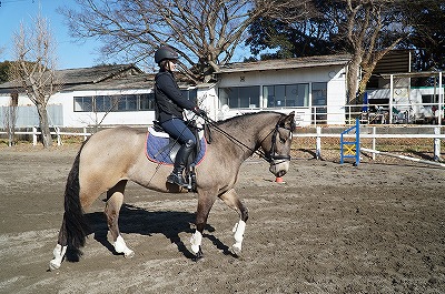 王道を進めば馬に優しい乗馬になる