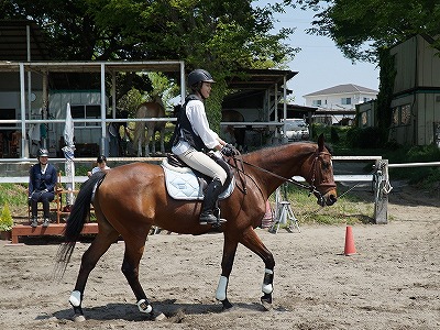 馬と仲良くなれる特別な乗馬