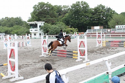 関東高等学校馬術選手権大会