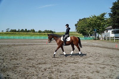 乗馬は簡単
