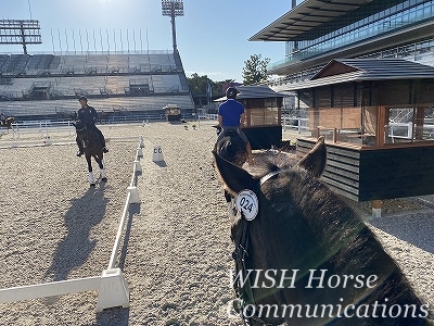 全日本馬場馬術大会