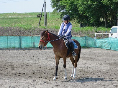 新馬調教　騎乗中のモグペロ