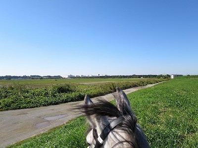馬との美しい風景