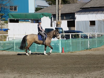 乗馬体験