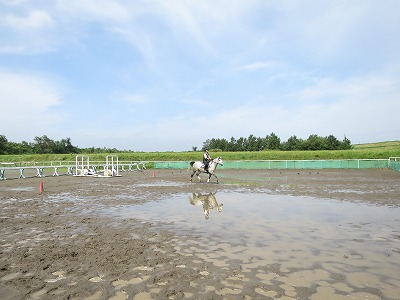 乗馬の極意