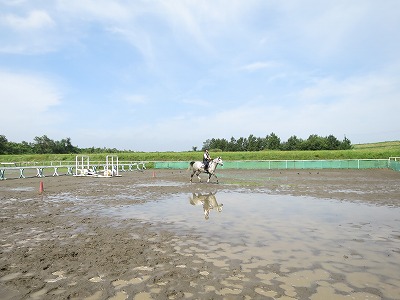 乗馬の極意