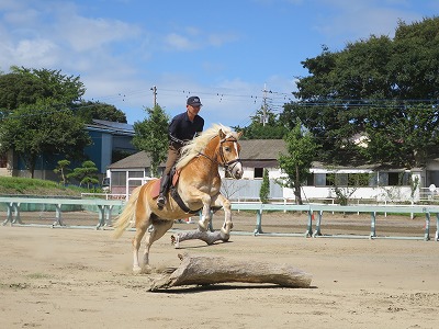 馬と遊ぼう