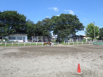 さわやか夏乗馬