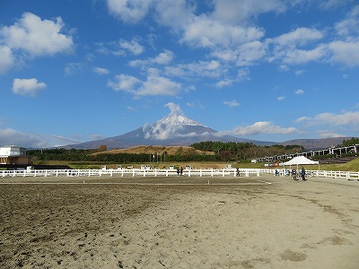 全日本馬場馬術大会