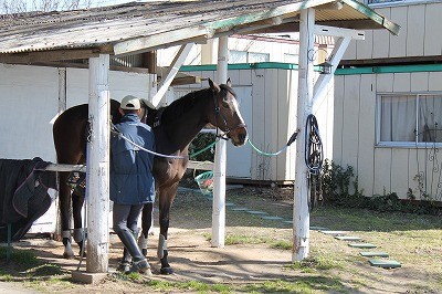 コミュニケーション志向の乗馬クラブ