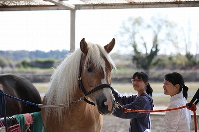 体験乗馬へようこそ！