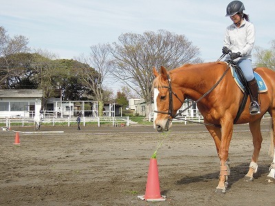 のんびり乗馬