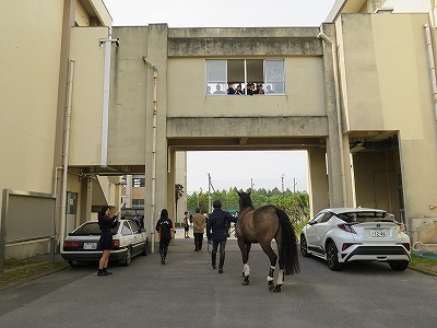 柏南高校馬術部