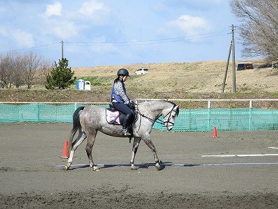 乗馬を楽しもう！