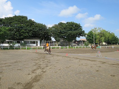 馬の助けを借りる