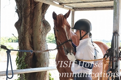 馬とのコミュニケーション