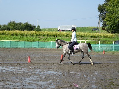 身も心も委ねてくれる馬