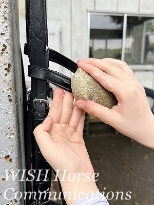 サドルソープのかけ方
