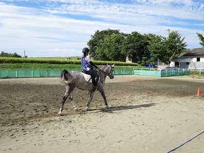 乗馬は楽しい！