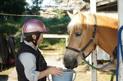 はじめての乗馬体験