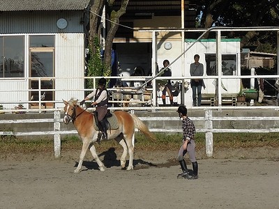 体験乗馬好評で良かった