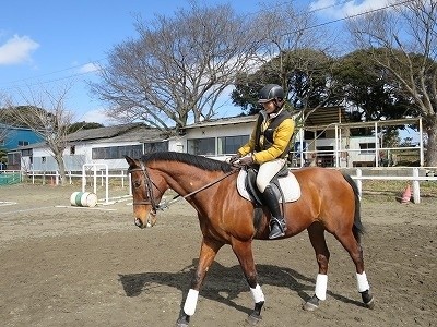 乗馬はコミュニケーション