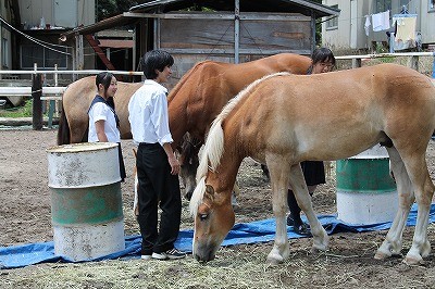 馬と仲良くなる