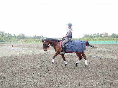 馬の生き甲斐