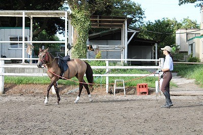 馬と良好な関係を作る