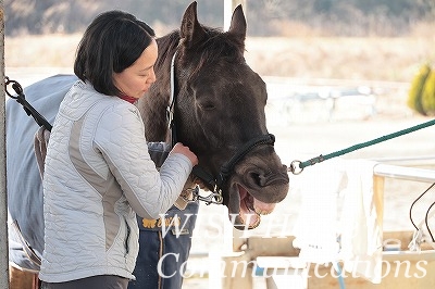 馬が喜ぶ手入れ