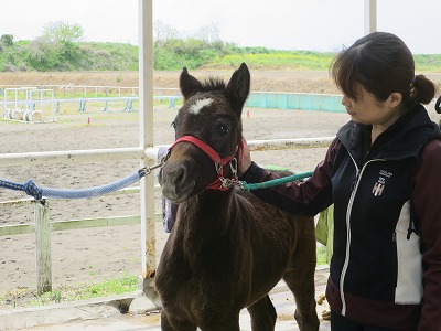 乗馬で得られる本当の幸せ