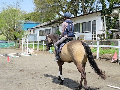 馬に命を吹き込む